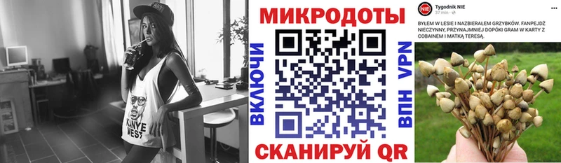 blacksprut зеркало  Черепаново  Галлюциногенные грибы Psilocybine cubensis 